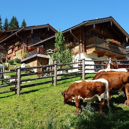 Ferienhaus Im Almdorf In Flachau别墅 外观 照片