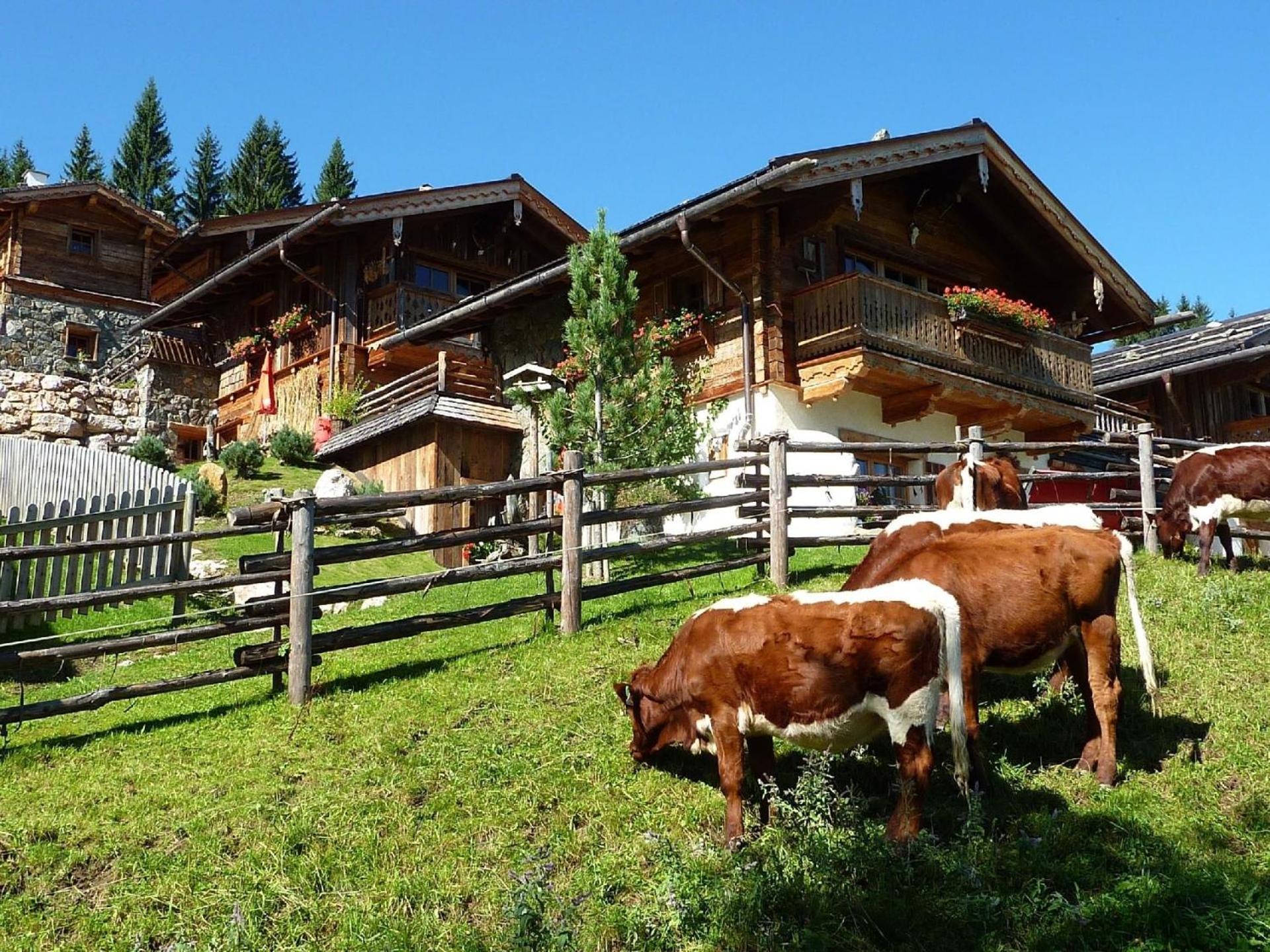 Ferienhaus Im Almdorf In Flachau别墅 外观 照片